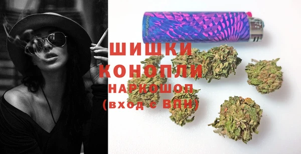 индика Алзамай
